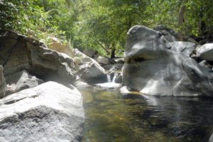 Water on the Monterey Peninsula