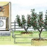 Greywater Systems - From Laundry to Landscape
