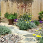Hands-On Workshop: Replacing Lawn with Water Wise Plants - Rescheduled